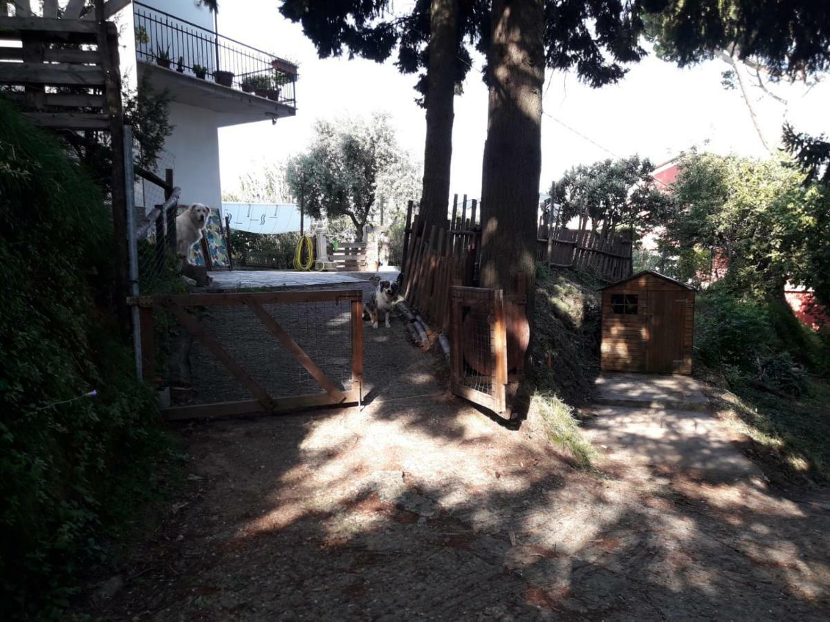 Hotel Il Giardino Del Nespolo Arcola Exterior foto